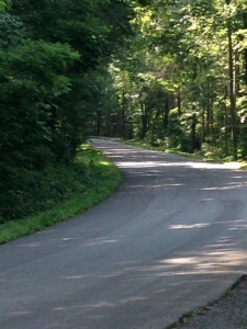 back roads in Virginia