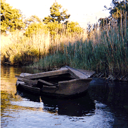 This abandoned skiff lies near the bank of Swan Creek and marks one of Nora and Van's favorite gunkholes.