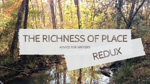 Richness of Place Redux