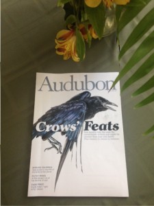 Audubon magazine featuring "Crows' Feats"
