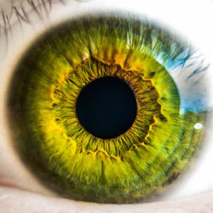 eye, green eye, point of view, motivation for writers, authors