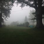Misty morning Nimrod Hall
