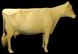 sculpture of a cow made from butter