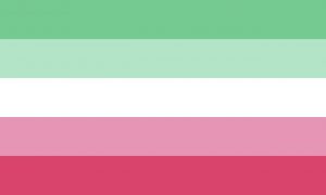 Testata in tela e doppie cuciture Anley Fly Breeze 3x5 Foot Abrosexual Pride Flag Colori vivaci e a prova di sbiadimento Bandiere LGBT abrosessuali in poliestere 
