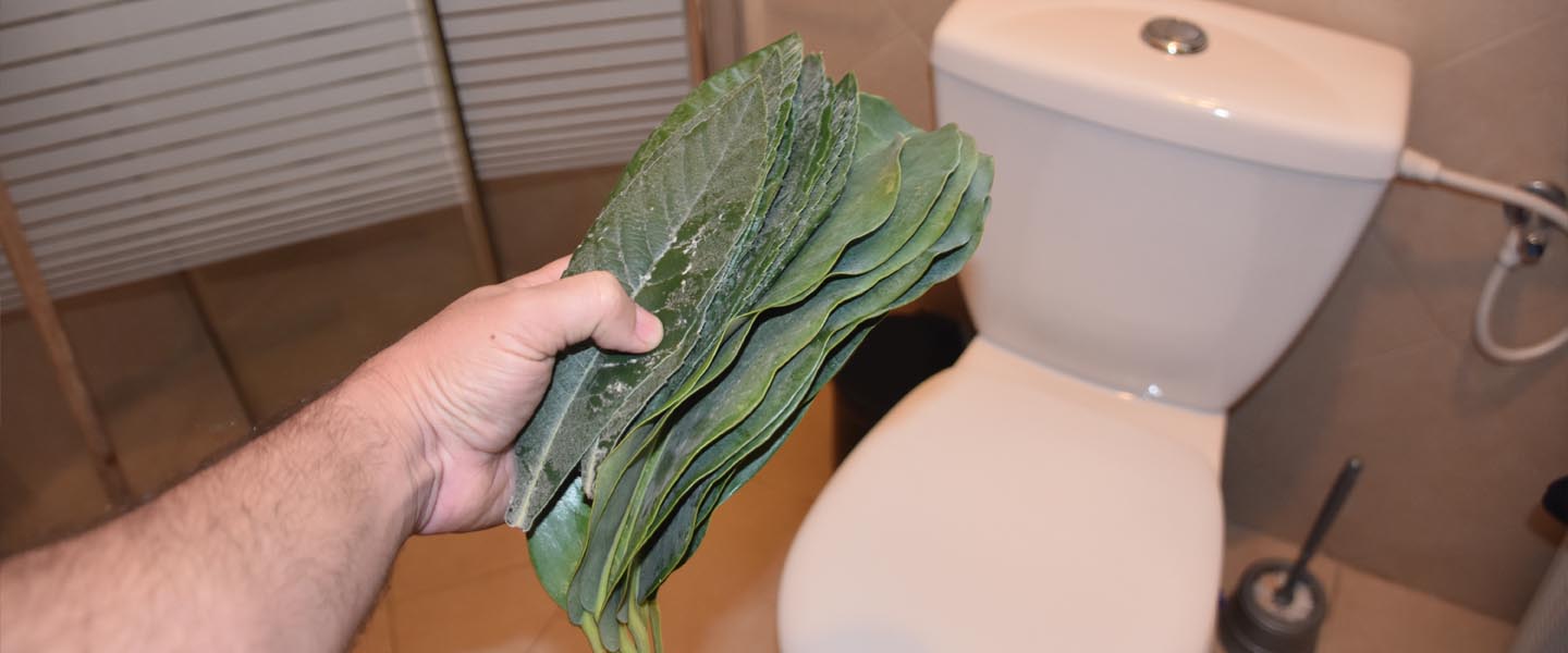 toilet_Paper_leaf_rock_sticks_newspaper Vivian Lawry