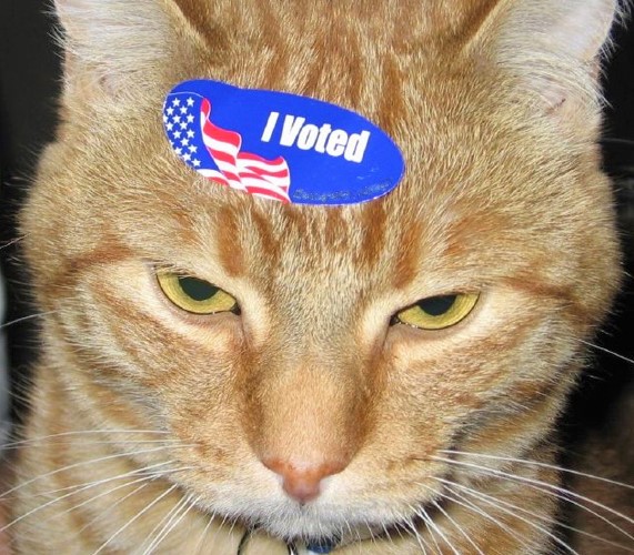 HistoryHumansCatsInline82 Vivian Lawry