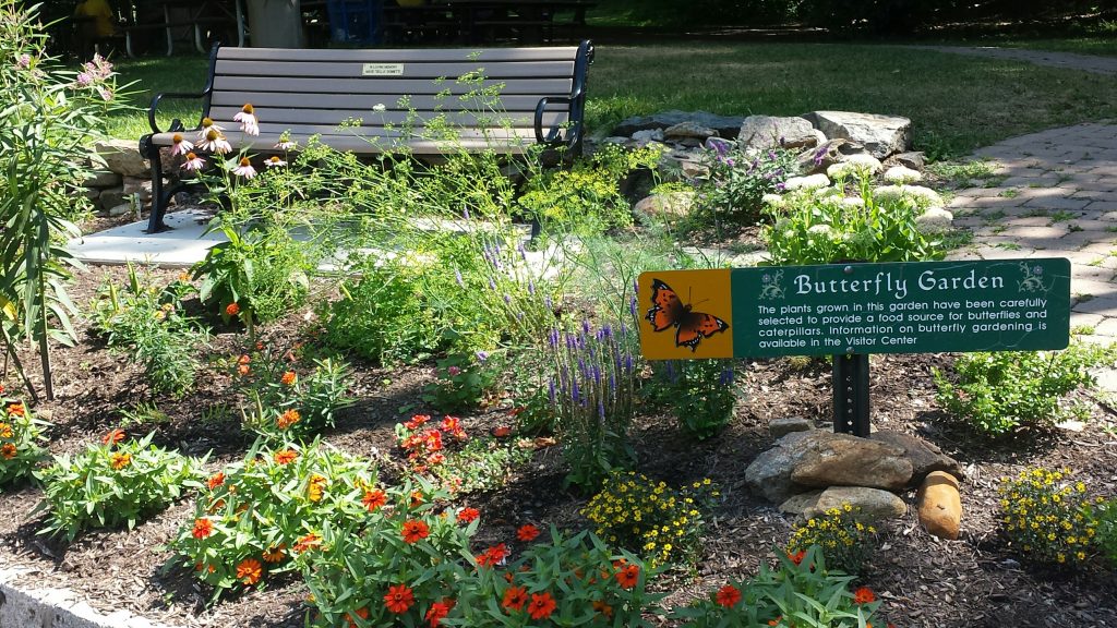 Butterfly garden in Union, NJ