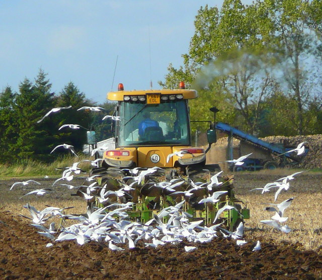 Age Limit Farm Vehicles